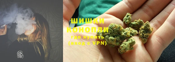 стаф Заводоуковск