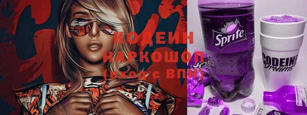 стаф Заводоуковск