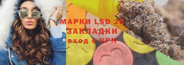 стаф Заводоуковск