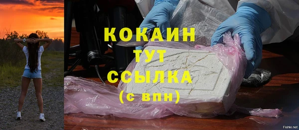 стаф Заводоуковск