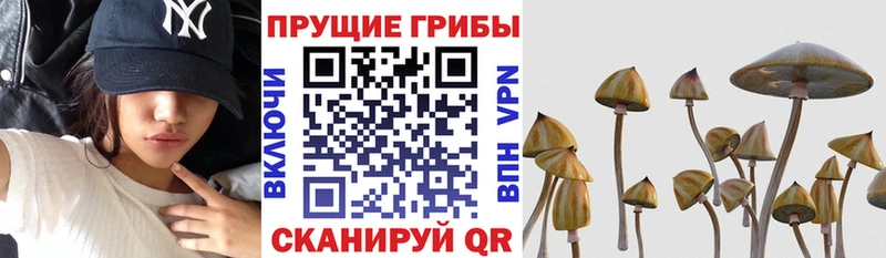 Галлюциногенные грибы прущие грибы  цена наркотик  Касли 